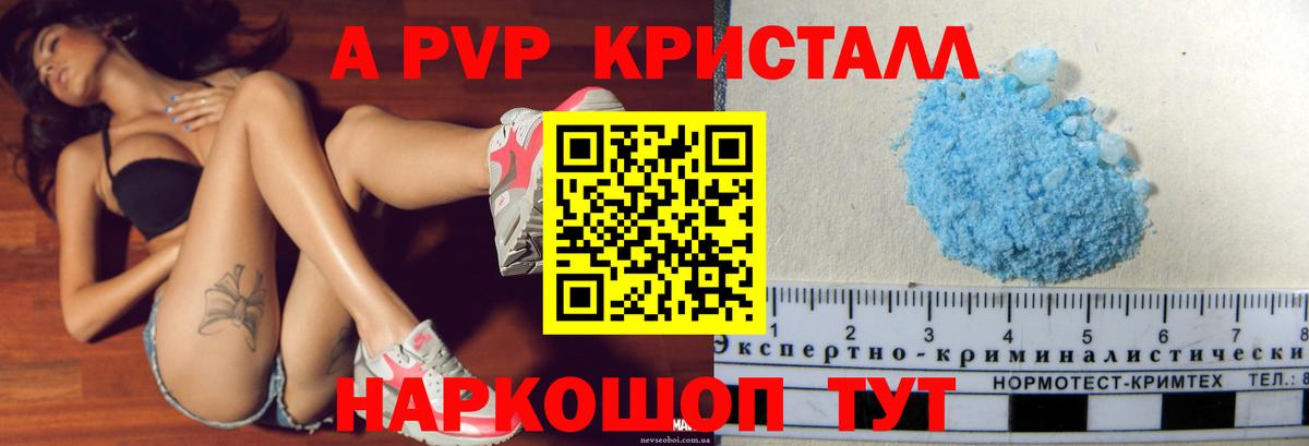 A PVP СК КРИС Пугачёв
