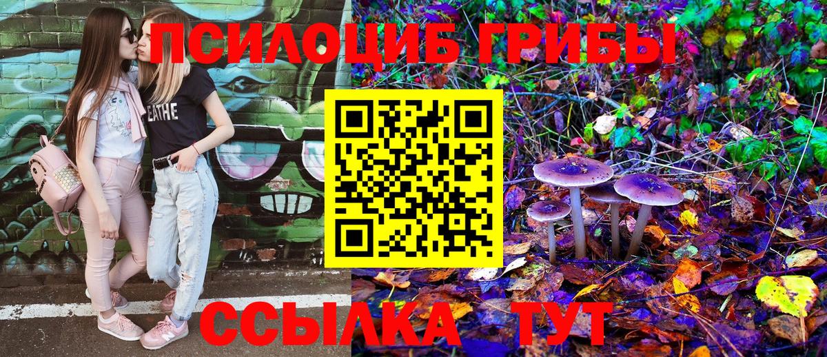 Псилоцибиновые грибы MAGIC MUSHROOMS  Псилоцибиновые грибы Psilocybe  Пугачёв  Вход с VPN 