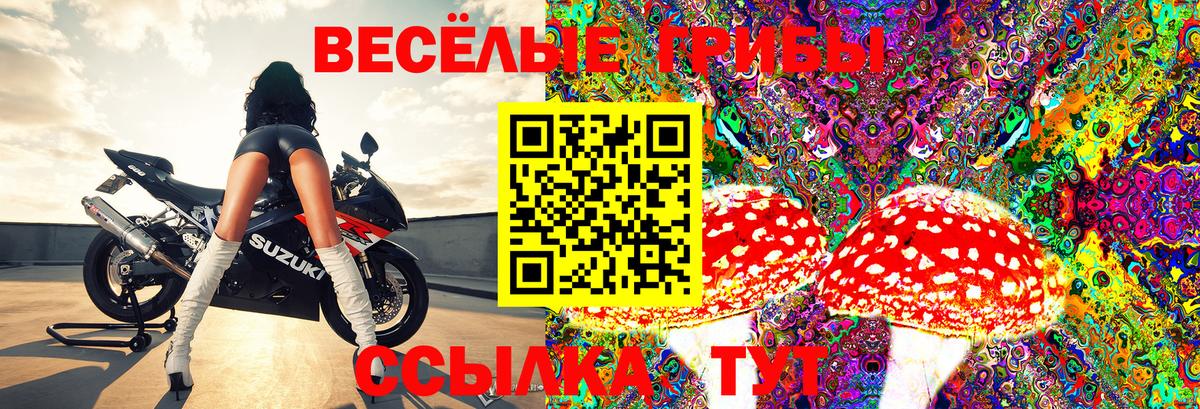 Псилоцибиновые грибы ЛСД Пугачёв